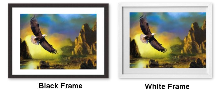 Select Your Frame